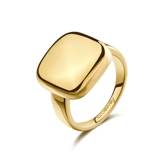 Ringe Brosway Dame Muse in Stahl BUE32D-18 - BUE32D-18